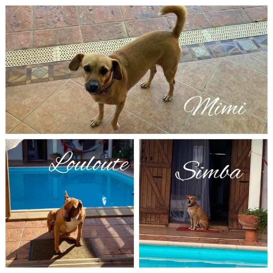 Agreable Chambre D'Hotes, Sdb, Piscine, Carbet Cuisine. แซงต์-โคลด ภายนอก รูปภาพ